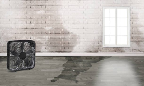Best Ceiling water damage repair  in Slippery Rock, PA
